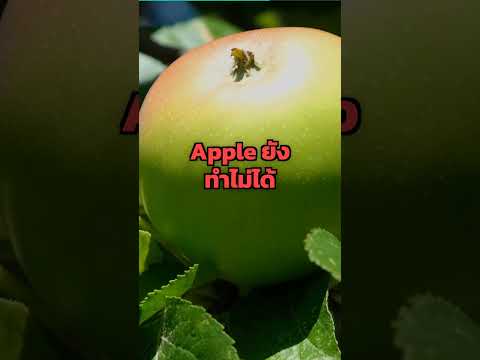 Apple จ่าย Google 35,000 ล้านบาท/ปี เพราะ AI แพ้ Samsung ขาดลอย | Mew Social