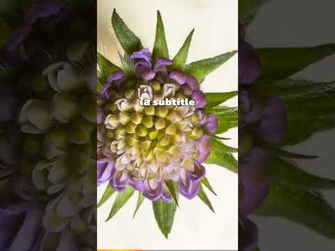 ลูกศิษย์ผมคนนึง ทำคอนเทนต์ไม่เคยเปิดหน้า ไม่เคยพูดเอง ใช้ AI ทำทุกอย่าง