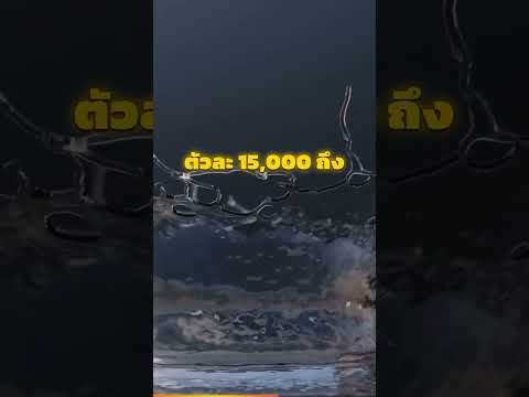 5 อาชีพใหม่จาก AI เดือนละ 100,000+ ไม่ต้องเขียนโค้ด